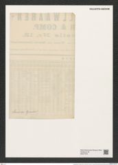 Craspedodiscus rhombicus Grun. (de-Toni-Nr.: Genus 201, Species 4834) Zeichnungen Sammlung Grunow (NHMW-BOT-W0377973)